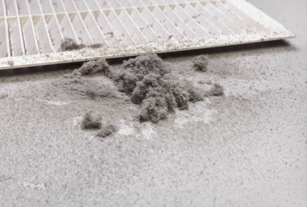 Best Air Duct Cleaning Near Me  in Oradell, NJ