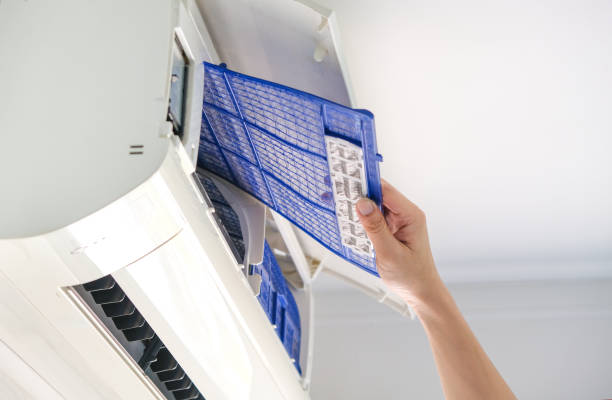 Best Air Duct Mold Removal  in Oradell, NJ