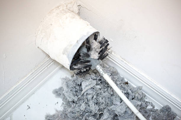 Air Duct Mold Removal in Oradell, NJ